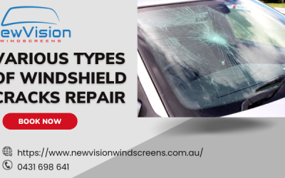 Various Types of Windshield Cracks You Should Be Aware Of